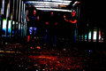 Larval Stage photo