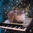 Adam thumbnail