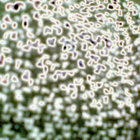 AgingSore thumbnail