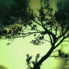 Fabrizio Sartini thumbnail