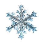 Ronda Snow thumbnail