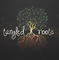 Tangled Roots image