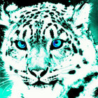 Chris Carr thumbnail