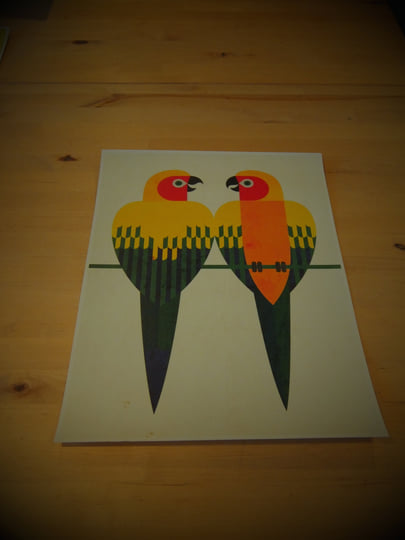 洋楽 A GUIDE TO THE BIRDSONG OF SOUTH AMERICA A Guide to the Birdsong of South America | Rhythm and Roots