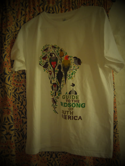 A Guide to the Birdsong of South America | Rhythm and Roots