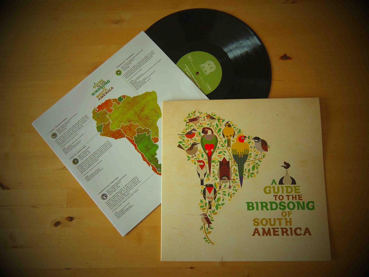 A Guide to the Birdsong of South America | Rhythm and Roots