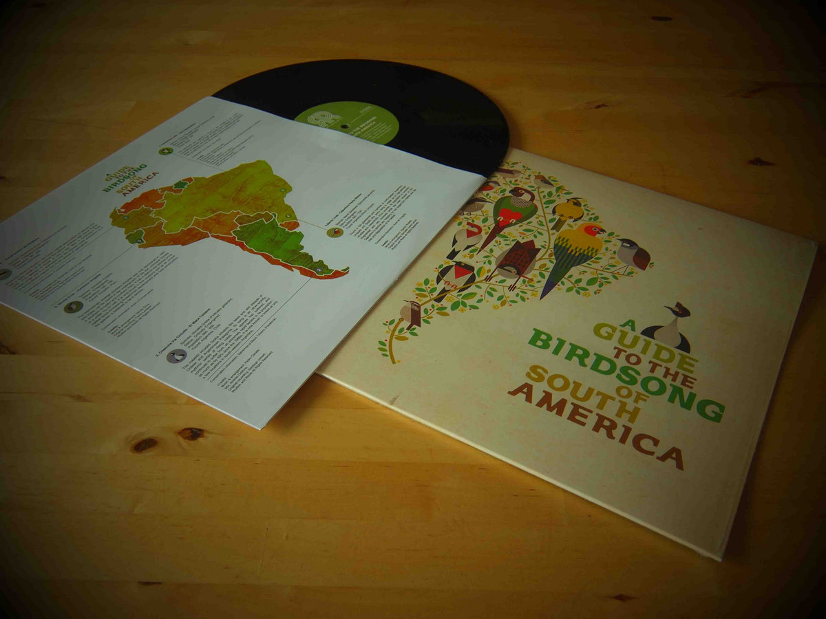 洋楽 A GUIDE TO THE BIRDSONG OF SOUTH AMERICA A Guide to the Birdsong of South America | Shika Shika
