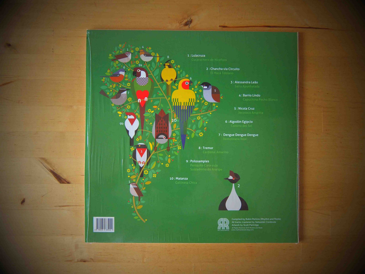A Guide to the Birdsong of South America | Rhythm and Roots