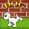DOG image