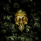 Twentytree thumbnail
