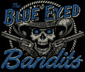 The Blue Eyed Bandits image