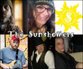 The Sunshowers image