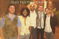 Mad Feather Group image
