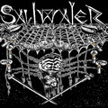 SALTWATER image