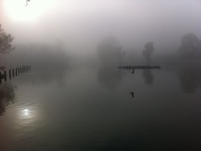 Misty Lake in London main photo