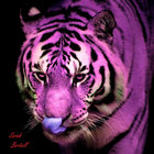 Justin Bumpass thumbnail