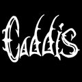 Caddis image