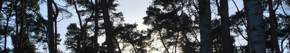 Venture — Photo