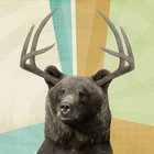 Strongbeer thumbnail