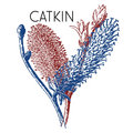 CATKIN image