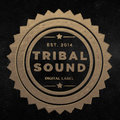 Tribal Sound image