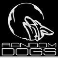 Random Dogs image