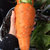 Carrot thumbnail