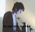 Cluster Havoc image
