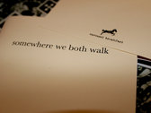 nesey gallons "somewhere we both walk" booklet/cd-r photo 