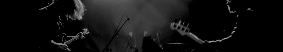The Wans — Photo