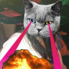 Jenn Misko thumbnail