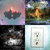 reBloo thumbnail