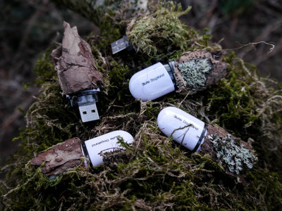 Music-USB made from moss, bark, leaves & recycled materials main photo
