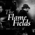 The Flame Fields image