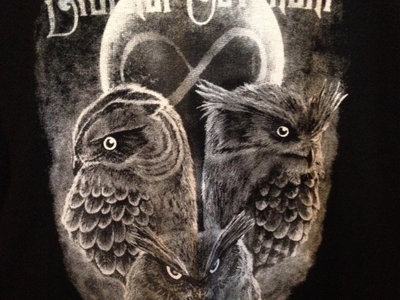 Owls T-Shirt main photo