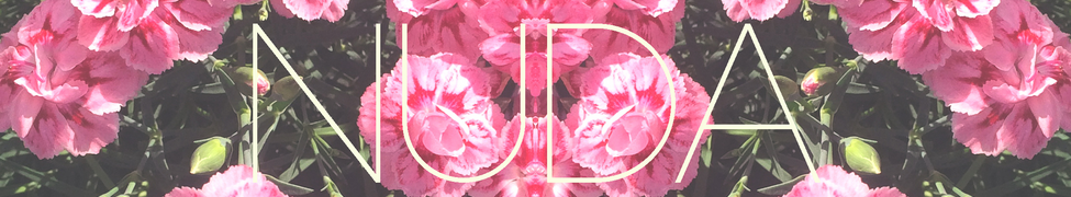 Nuda — Photo · logo