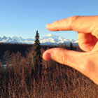 Randy Windle thumbnail