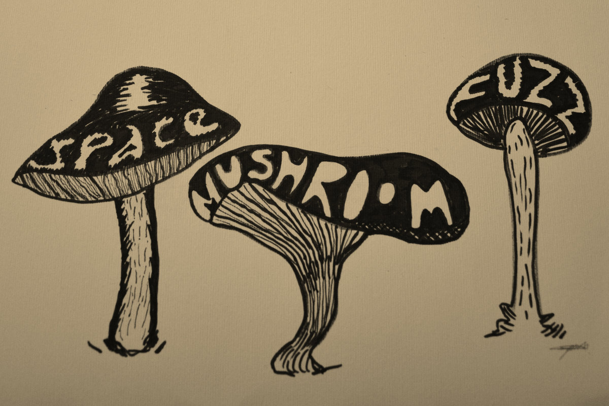 その他 Fun With Mushrooms [CD] Infected Mushroom - Friends on Mushrooms (Deluxe Edition