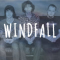 Windfall image