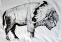 White Bison image
