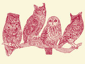 Owls T-Shirt photo 