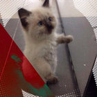 Michael Milner thumbnail