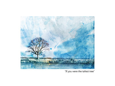 Greeting Card - Pathhead Blue Tree - TTP0106 main photo