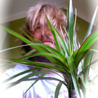 KaSiebert thumbnail
