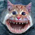 Wendifred vonTunesmo thumbnail