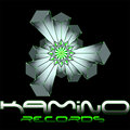 KAMINO RECORDS image