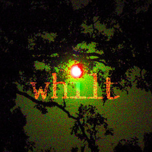 Whilt — Photo