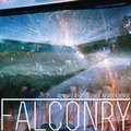 Falconry image