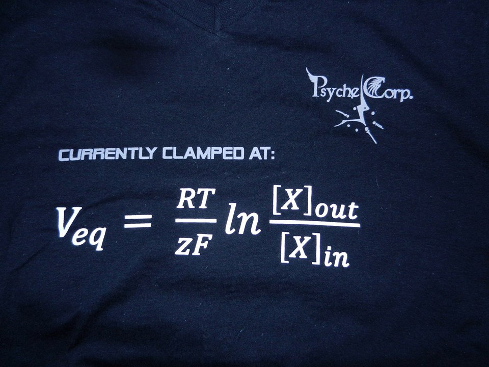 Slightly Naughty Neuroscience Nerd Psyche Corp T Shirt Psyche Corporation