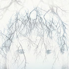 Muxin thumbnail